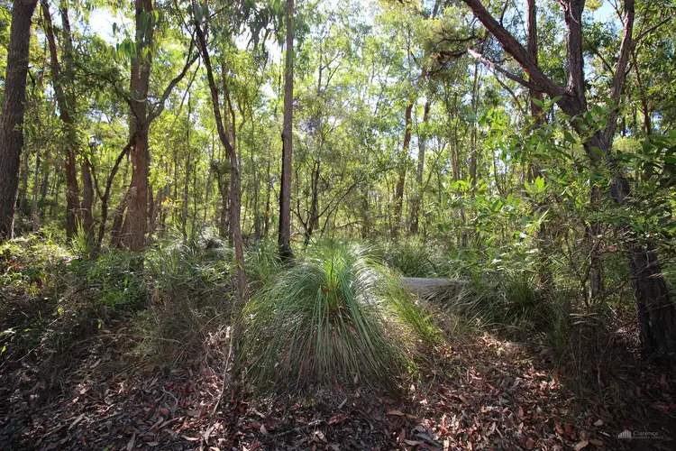 Third view of Homely rural property listing, LOT 68, 50 & 15 Ryries Road, Lawrence NSW 2460