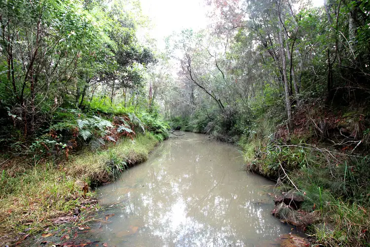 Fifth view of Homely rural property listing, LOT 68, 50 & 15 Ryries Road, Lawrence NSW 2460