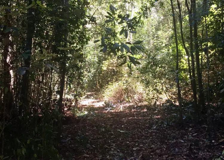 Third view of Homely land listing, Address available on request