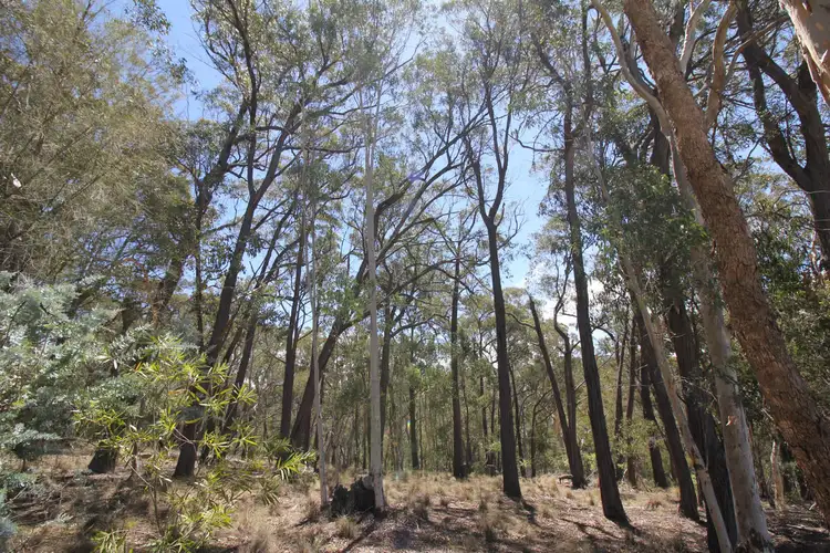 Third view of Homely rural property listing, Address available on request