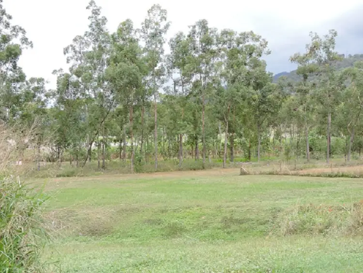 Seventh view of Homely rural property listing, 46543 Bruce Highway, Bambaroo QLD 4850