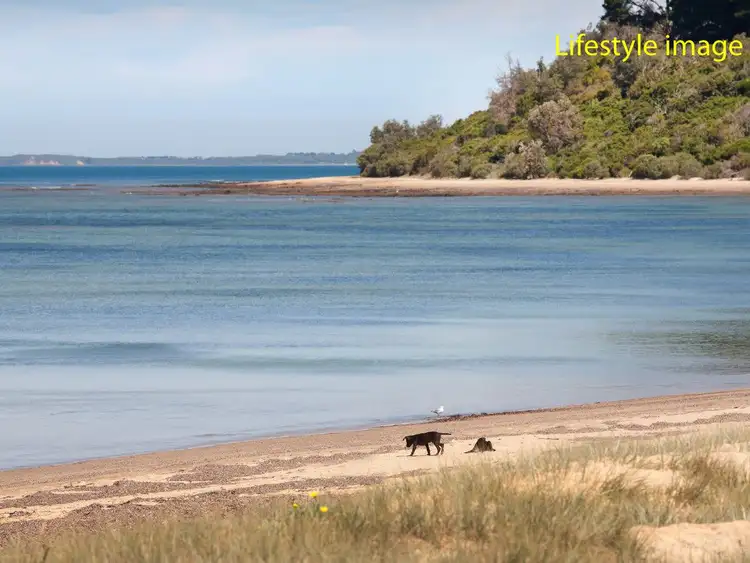 Third view of Homely house listing, 37 Fauconshawe Street, Balnarring Beach VIC 3926