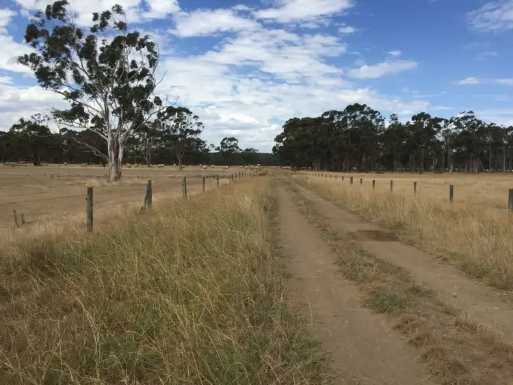 Main view of Homely rural property listing, Curdies-Leichfield Road, Elingamite VIC 3266