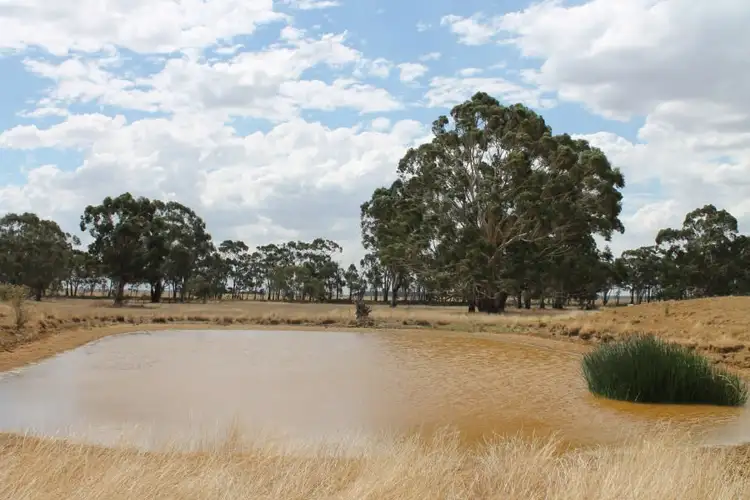 Second view of Homely rural property listing, Curdies-Leichfield Road, Elingamite VIC 3266