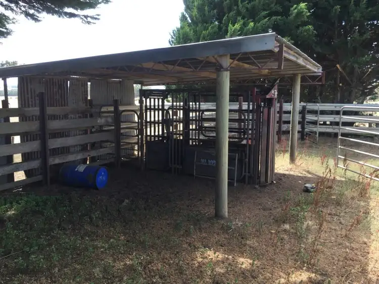 Third view of Homely rural property listing, Curdies-Leichfield Road, Elingamite VIC 3266