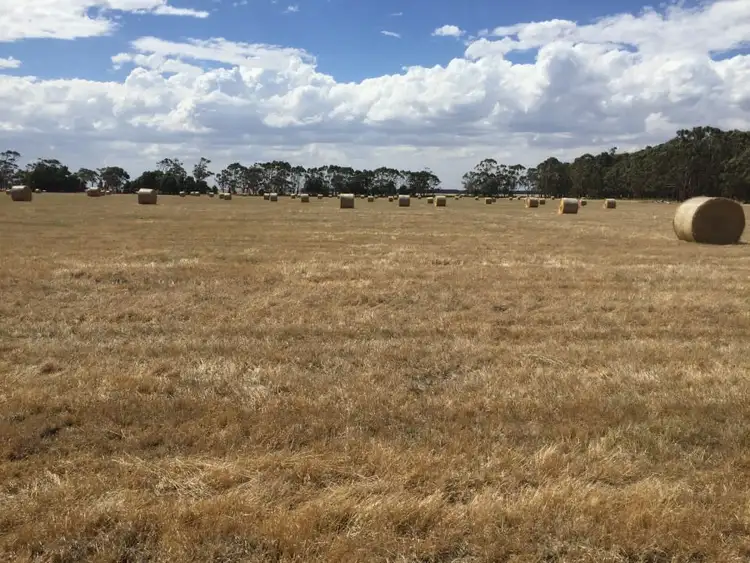 Seventh view of Homely rural property listing, Curdies-Leichfield Road, Elingamite VIC 3266