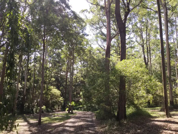 Second view of Homely house listing, 18 Brookland Road, Tinbeerwah QLD 4563
