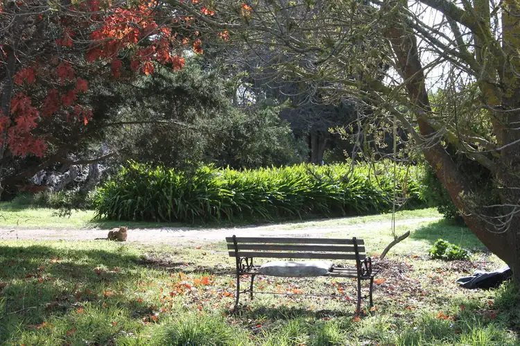 Third view of Homely house listing, 37 Bowden Street, Birregurra VIC 3242