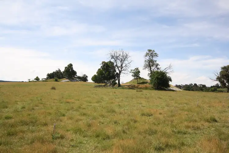 Main view of Homely rural property listing, 90 Porters Road, Scarsdale VIC 3351