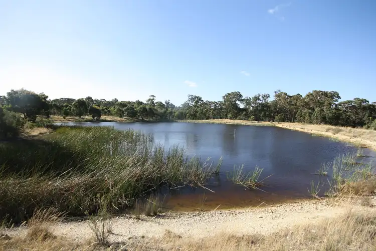 Fourth view of Homely rural property listing, 90 Porters Road, Scarsdale VIC 3351