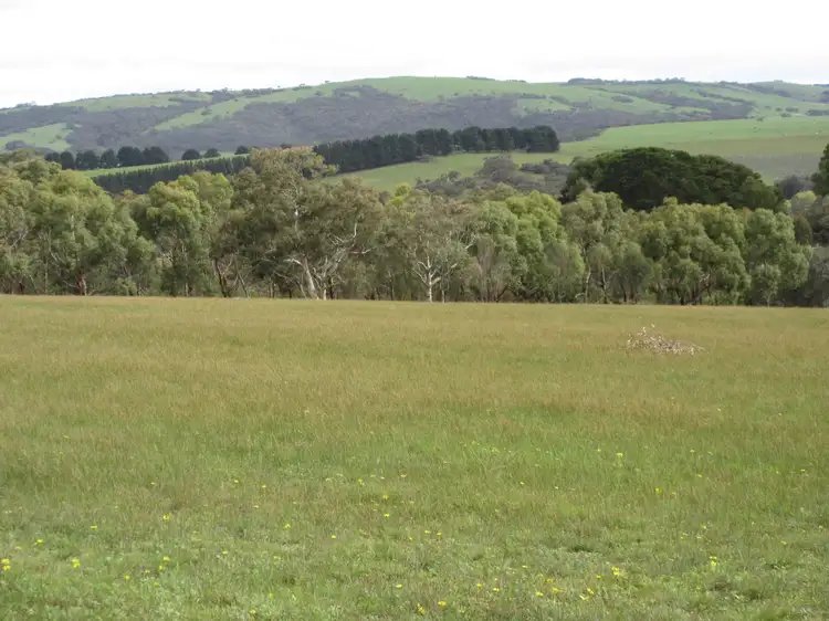 Second view of Homely rural property listing, 2216 Bull Creek Road, Tooperang SA 5255