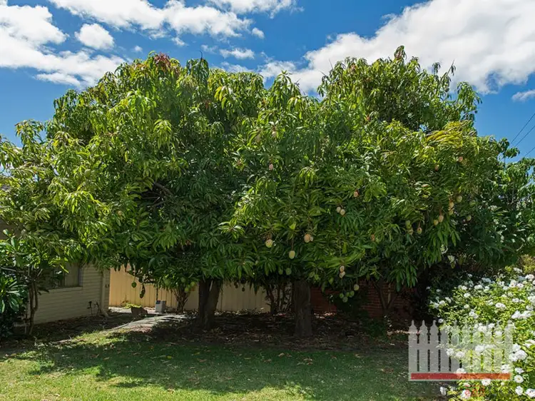 Third view of Homely house listing, 42 Devon Road, Bassendean WA 6054