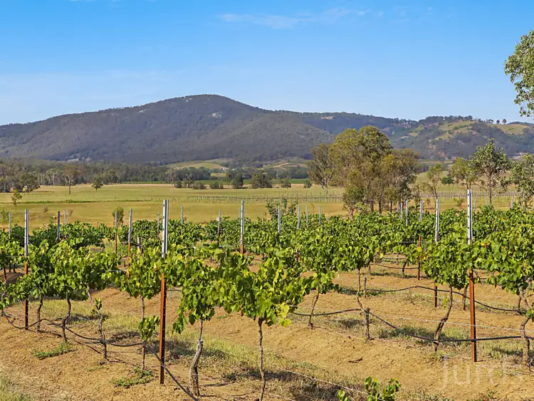 Seventh view of Homely rural property listing, 330 Debeyers Road, Pokolbin NSW 2320