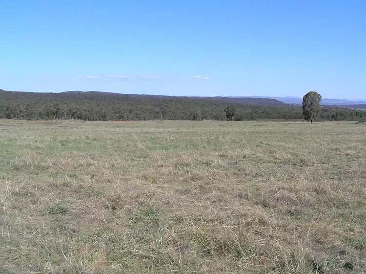 Third view of Homely rural property listing, 188 Montaza Road, Gulgong NSW 2852
