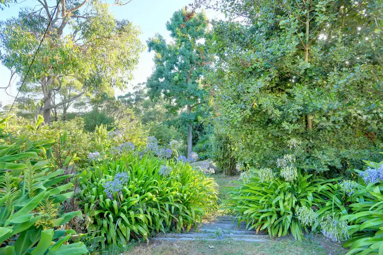 Third view of Homely house listing, 77 Martin Street, Belgrave VIC 3160