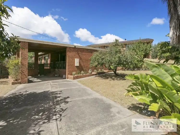 Main view of Homely house listing, 23 Bienias Crescent, Tootgarook VIC 3941