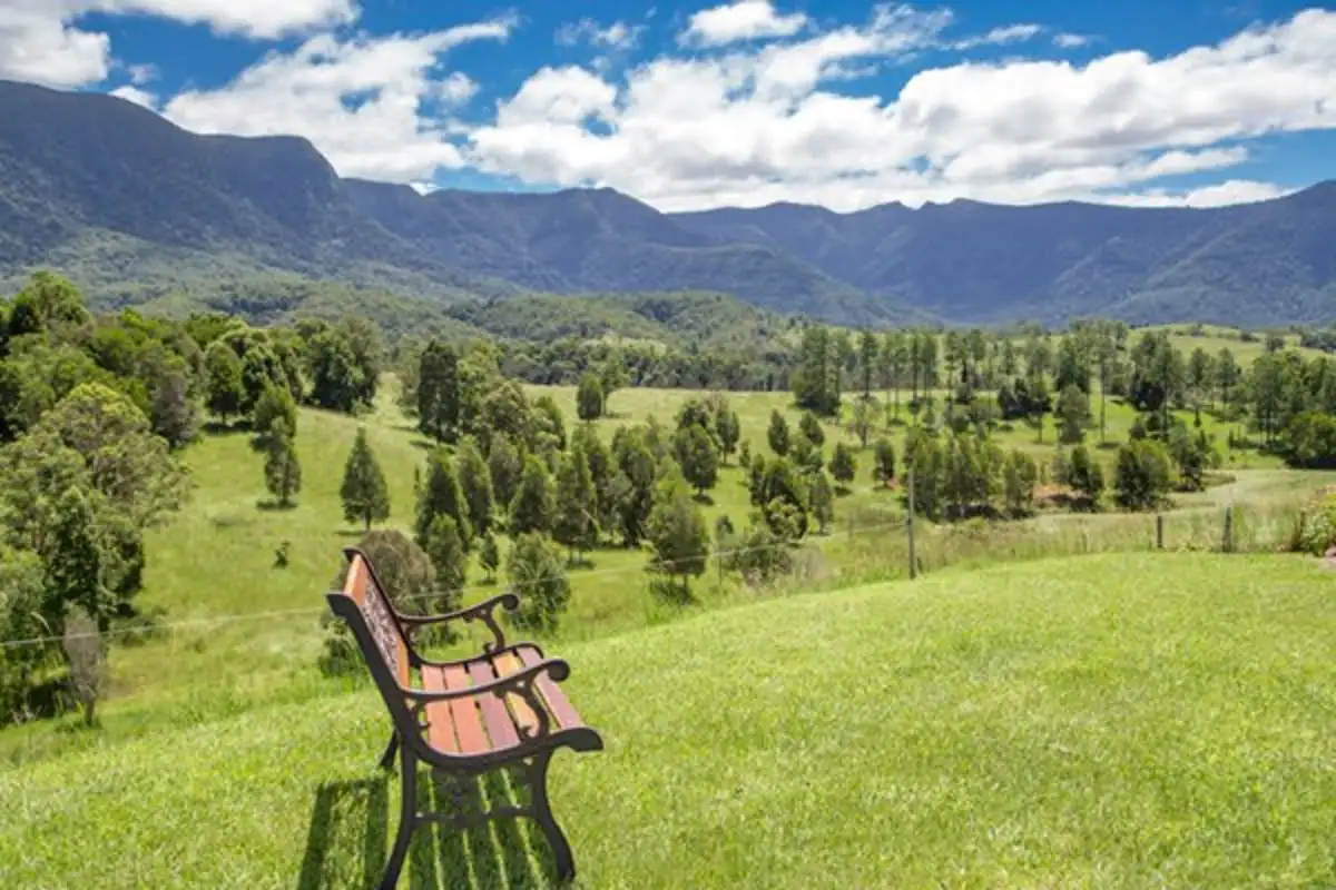 Main view of Homely rural property listing, 146 Everinghams Road, Pumpenbil, Tyalgum NSW 2484