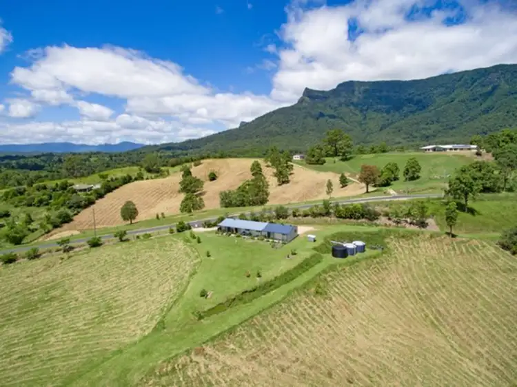 Fifth view of Homely rural property listing, 146 Everinghams Road, Pumpenbil, Tyalgum NSW 2484