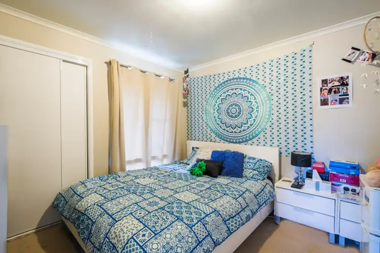 Fifth view of Homely rural property listing, 81 Orchard Road, Mountain View NSW 2460