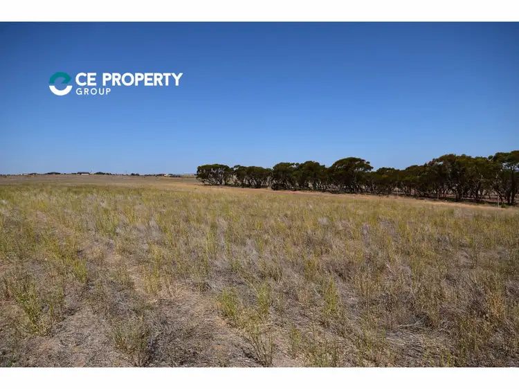 Second view of Homely rural property listing, 100 Magpie Crescent, Mannum SA 5238