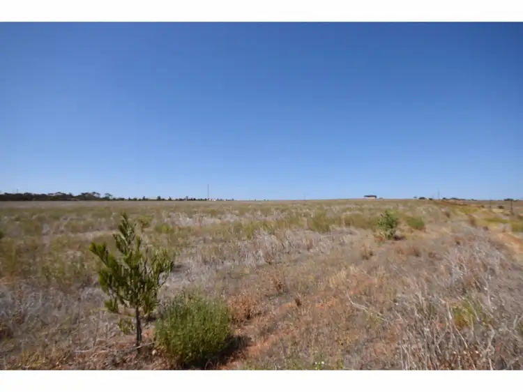 Third view of Homely rural property listing, 100 Magpie Crescent, Mannum SA 5238