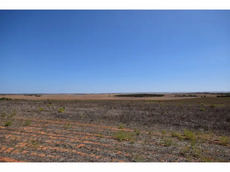 Fourth view of Homely rural property listing, 100 Magpie Crescent, Mannum SA 5238
