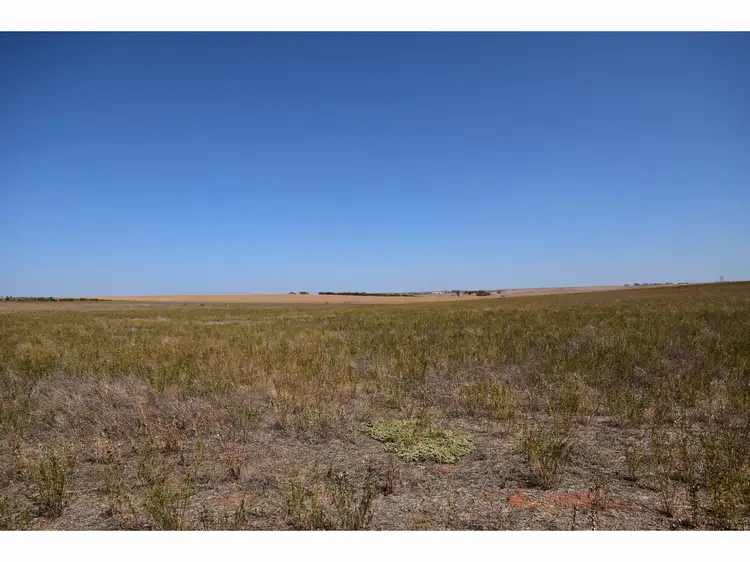 Fifth view of Homely rural property listing, 100 Magpie Crescent, Mannum SA 5238