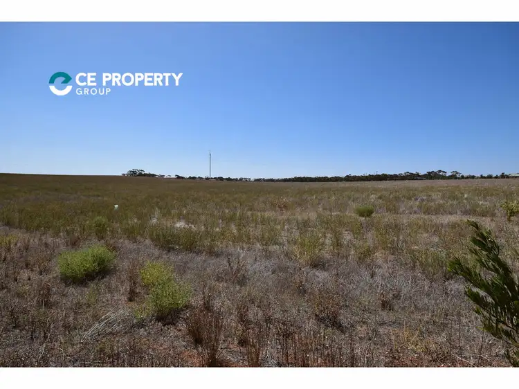 Sixth view of Homely rural property listing, 100 Magpie Crescent, Mannum SA 5238