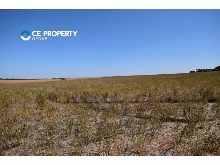 Seventh view of Homely rural property listing, 100 Magpie Crescent, Mannum SA 5238