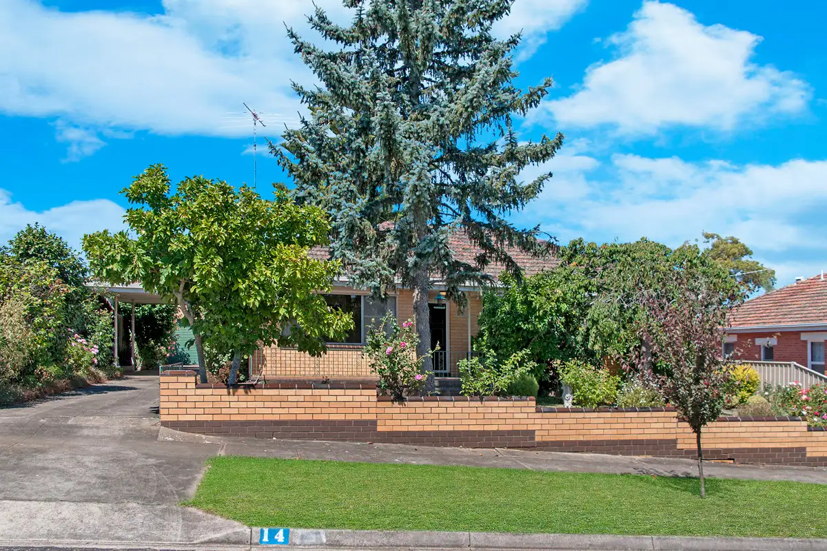 Main view of Homely house listing, 14 Macpherson Street, Hamilton VIC 3300