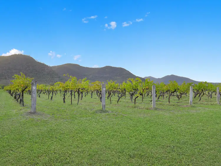 Third view of Homely rural property listing, 420 Milbrodale Road, Broke NSW 2330
