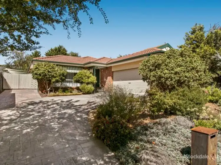 Main view of Homely house listing, 16 Emily Drive, Narre Warren VIC 3805