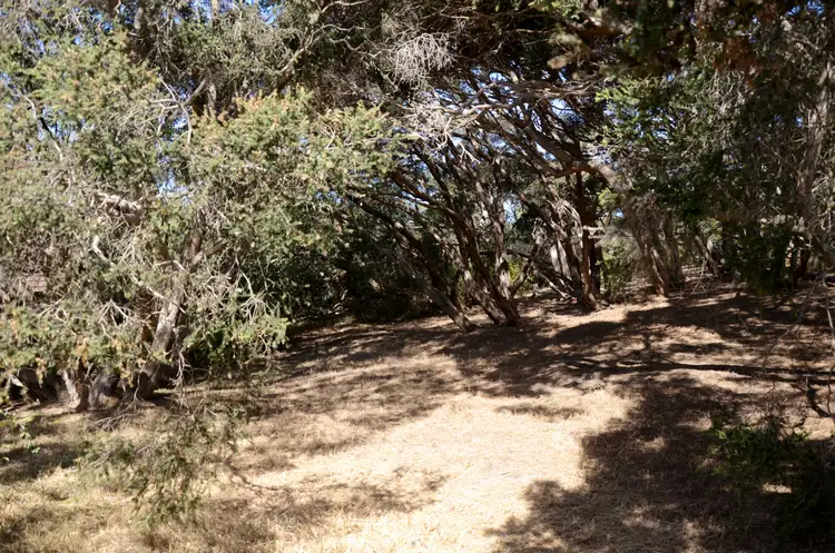 Sixth view of Homely land listing, 15 Nerissa Street, Rye VIC 3941