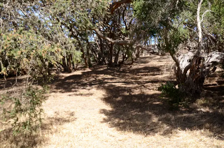 Seventh view of Homely land listing, 15 Nerissa Street, Rye VIC 3941