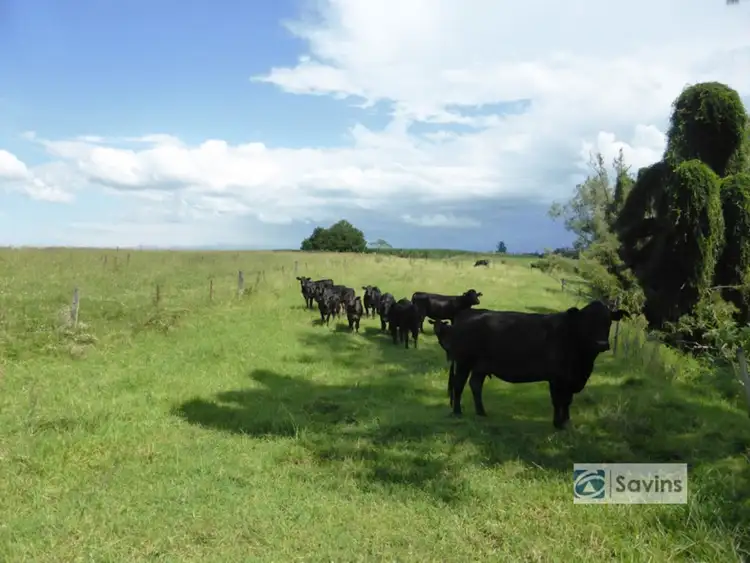 Third view of Homely rural property listing, 179 Upper Stratheden Road, Stratheden, Casino NSW 2470
