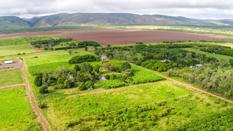 Third view of Homely rural property listing, 544 Packsaddle Road, Kununurra WA 6743