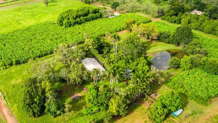 Fourth view of Homely rural property listing, 544 Packsaddle Road, Kununurra WA 6743