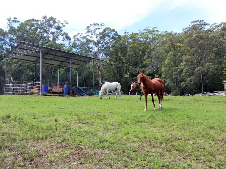 Fifth view of Homely rural property listing, Address available on request