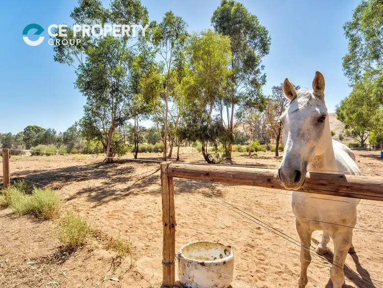 Second view of Homely rural property listing, 39 Woolford Road, Eden Valley SA 5235