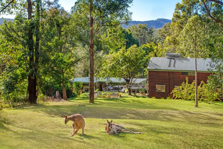 Fourth view of Homely house listing, 84/65 Kilcoy Lane, Conondale QLD 4552