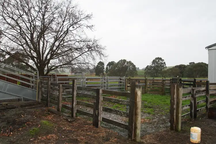 Fourth view of Homely rural property listing, 5 Shady's, Coleraine VIC 3315