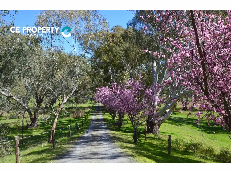 Main view of Homely rural property listing, LOT 5, 121 Coppermine Road, Williamstown SA 5351