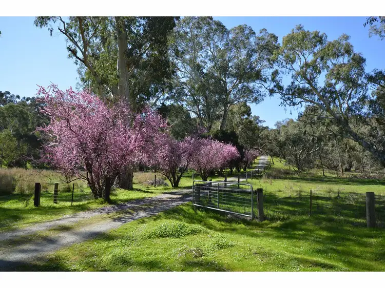 Third view of Homely rural property listing, LOT 5, 121 Coppermine Road, Williamstown SA 5351