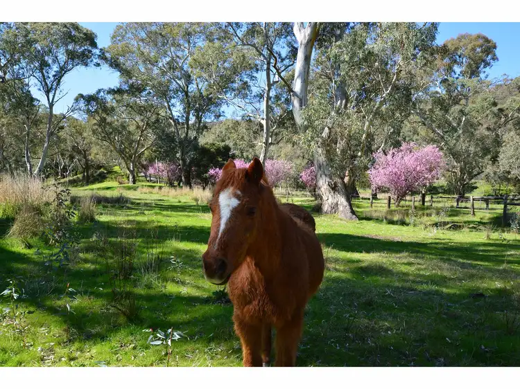 Fourth view of Homely rural property listing, LOT 5, 121 Coppermine Road, Williamstown SA 5351