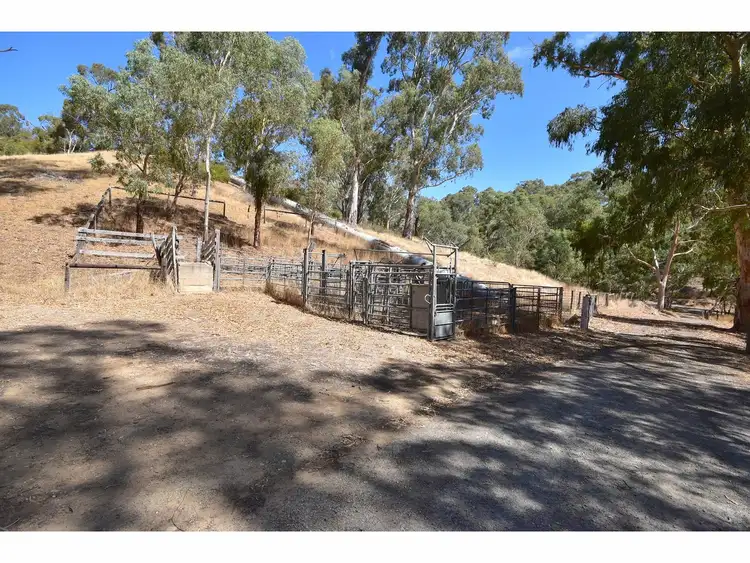 Sixth view of Homely rural property listing, LOT 5, 121 Coppermine Road, Williamstown SA 5351