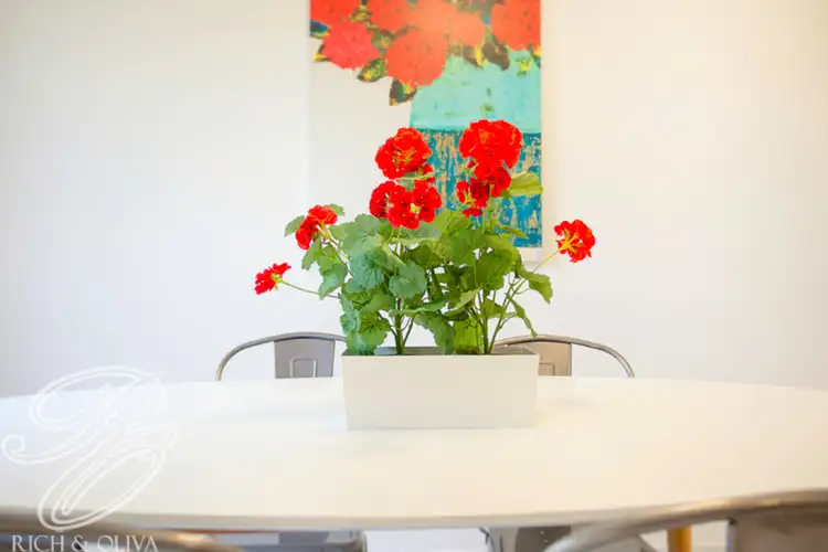 Sixth view of Homely apartment listing, 7/70-74 Clissold Parade, Campsie NSW 2194