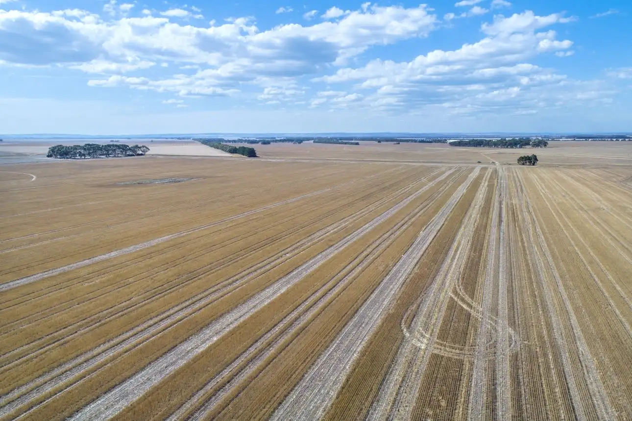 Main view of Homely rural property listing, Colac-Ballarat Road, Cressy VIC 3322