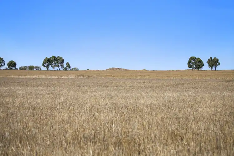 Seventh view of Homely rural property listing, Colac-Ballarat Road, Cressy VIC 3322