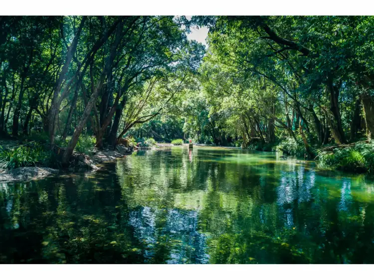 Third view of Homely rural property listing, 664 Timboon Road, Bellingen NSW 2454