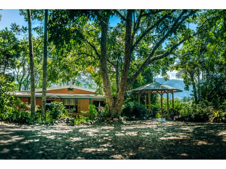 Fourth view of Homely rural property listing, 664 Timboon Road, Bellingen NSW 2454